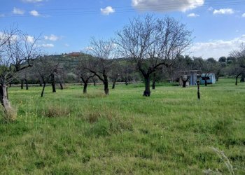 Vista delle montagne - Terreno edificabile Contrada Bochini Fiumarella
 
snc, Avola - foto 7