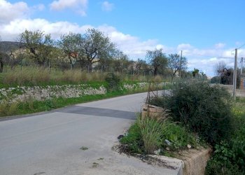 Giardino - Terreno edificabile Contrada Bochini Fiumarella
 
snc, Avola - foto 9