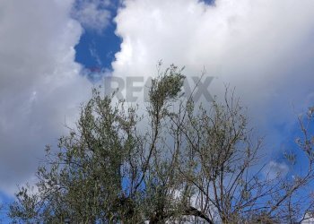 Edificio all\'aperto - Terreno edificabile Contrada Bochini Fiumarella
 
snc, Avola - foto 14