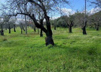 Giardino - Terreno edificabile Contrada Bochini Fiumarella
 
snc, Avola - foto 16