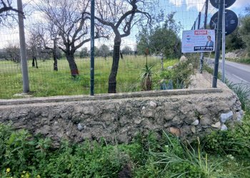 Giardino - Terreno edificabile Contrada Bochini Fiumarella
 
snc, Avola - foto 1