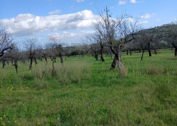 Vista delle montagne - Terreno edificabile Contrada Bochini Fiumarella
 
snc, Avola - foto 17