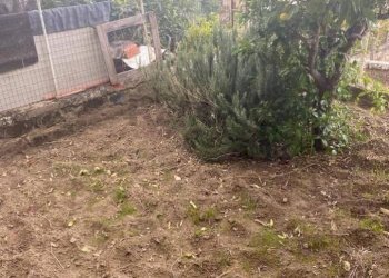 Giardino - Casa indipendente via virticchio
 
33, San Michele di Ganzaria - foto 25