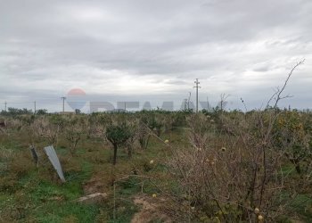 Edificio all\'aperto - Agricultural land contrada Reina
s.n.c., Belpasso - photo 7