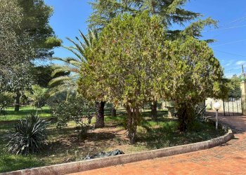 Giardino - Villa C.da Collegiata - Via dei Pini
 
10, Caltagirone - foto 23