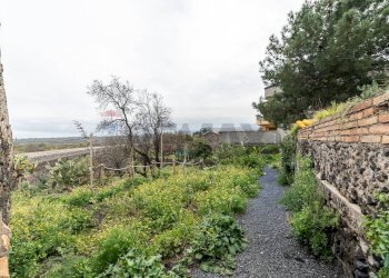 Giardino - Casa indipendente Viale Regina Margherita
 
112-114, Castiglione di Sicilia - foto 19