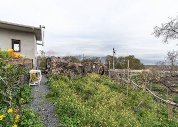 Giardino - Casa indipendente Viale Regina Margherita
 
112-114, Castiglione di Sicilia - foto 20