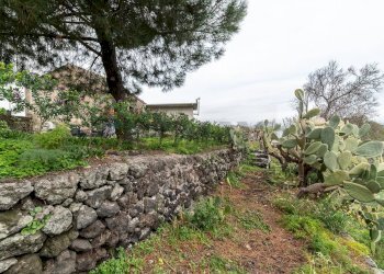 Giardino - Casa indipendente Viale Regina Margherita
 
112-114, Castiglione di Sicilia - foto 22