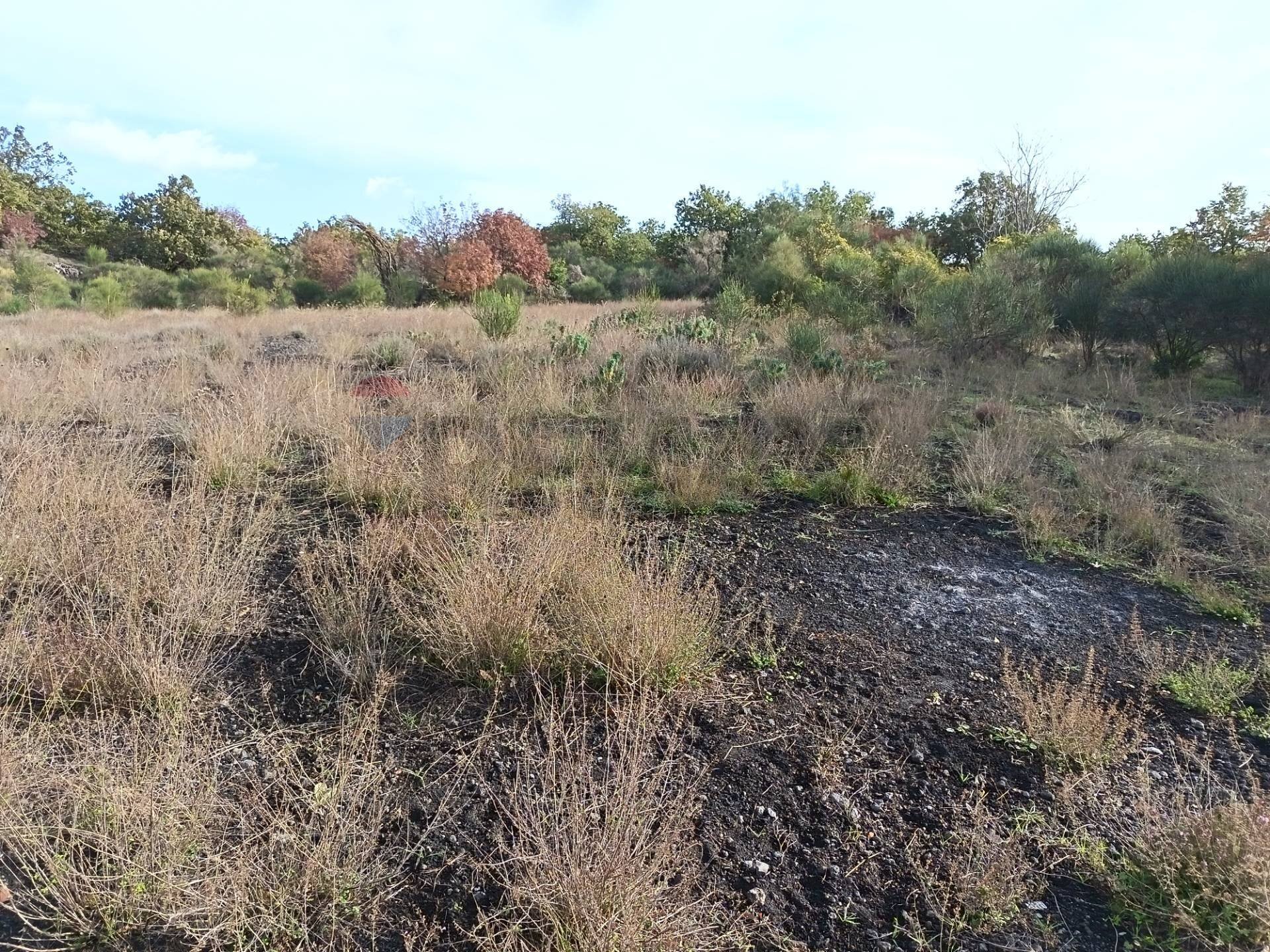 Vista delle montagne - Agricultural land via Mulini, Zafferana Etnea - photo 1