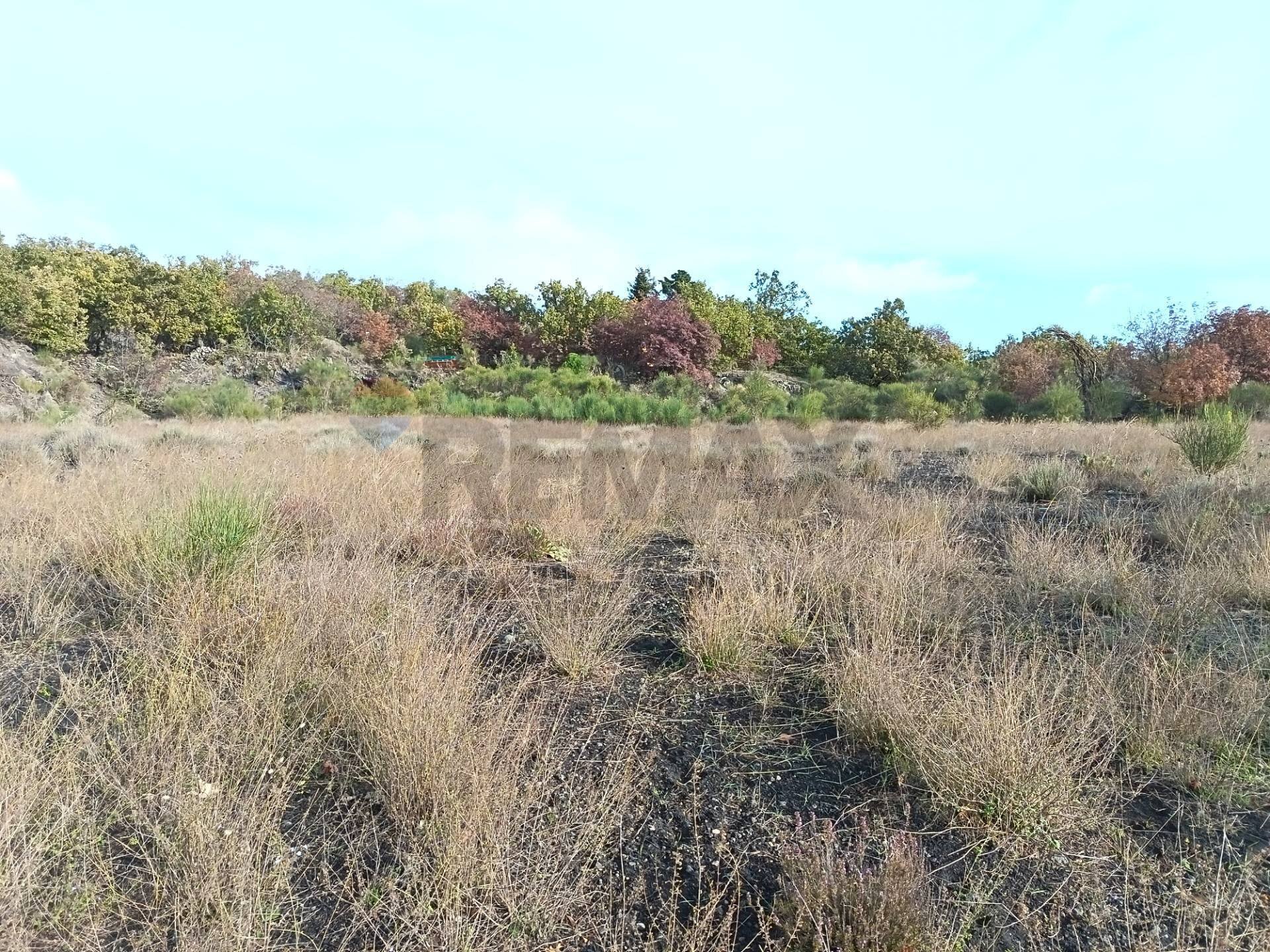 Vista delle montagne - Agricultural land via Mulini, Zafferana Etnea - photo 2