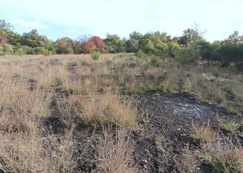 Vista delle montagne - Terreno agricolo via Mulini, Zafferana Etnea - foto 1