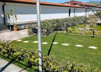 Giardino - Attività Commerciale Terrazza della Repubblica, Viareggio - foto 2