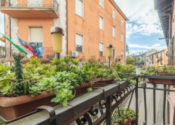 Balcone - Quadrilocale Via Roma
 
6, Ischia di Castro - foto 38