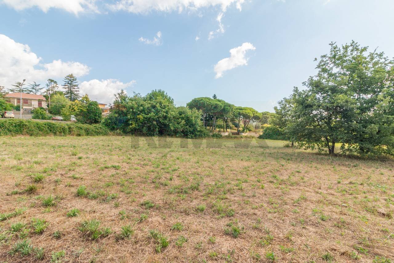 Giardino - Terreno edificabile Località San Pietro
 
snc, Ischia di Castro - foto 1