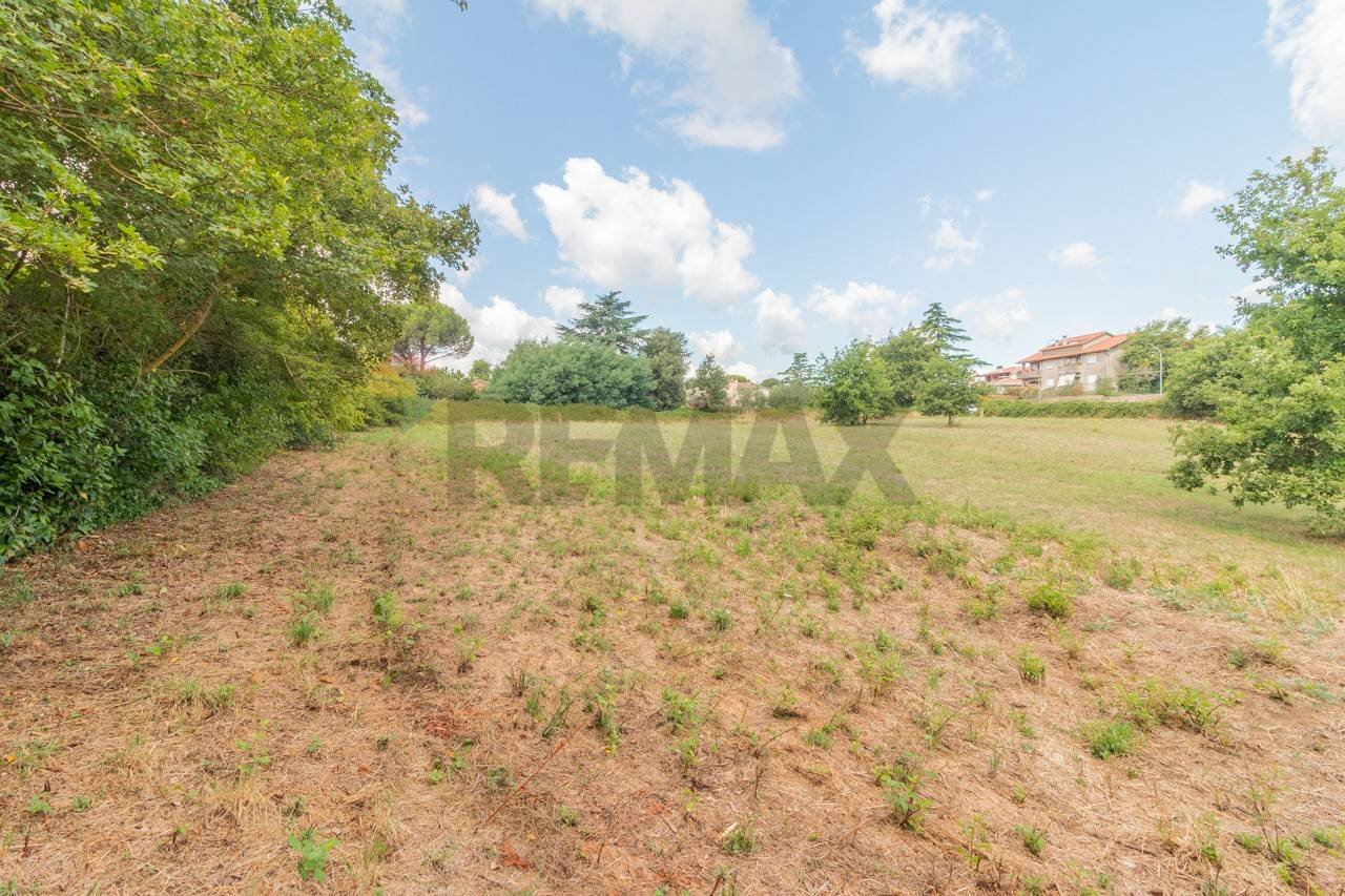 Giardino - Terreno edificabile Località San Pietro
snc, Ischia di Castro - foto 2