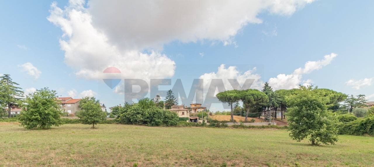 Giardino - Terreno edificabile Località San Pietro
snc, Ischia di Castro - foto 3