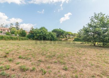 Giardino - Terreno edificabile Località San Pietro
 
snc, Ischia di Castro - foto 1