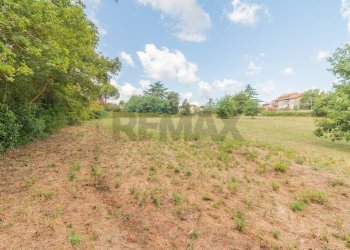 Giardino - Terreno edificabile Località San Pietro
 
snc, Ischia di Castro - foto 2