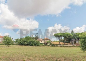 Giardino - Terreno edificabile Località San Pietro
 
snc, Ischia di Castro - foto 3