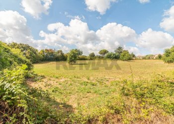 Giardino - Terreno edificabile Località San Pietro
 
snc, Ischia di Castro - foto 4