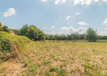 Giardino - Terreno edificabile Località San Pietro
 
snc, Ischia di Castro - foto 6