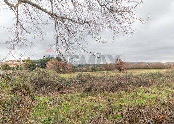 Vista delle montagne - Terreno edificabile Località San Pietro
 
snc, Ischia di Castro - foto 9