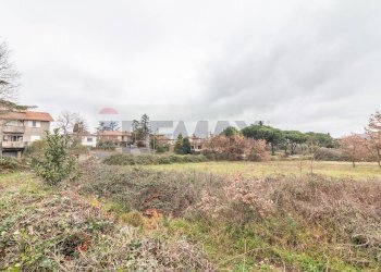 Giardino - Terreno edificabile Località San Pietro
 
snc, Ischia di Castro - foto 10