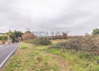 Giardino - Terreno edificabile Località San Pietro
 
snc, Ischia di Castro - foto 11