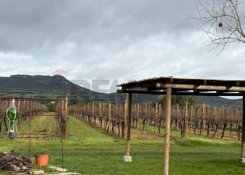 Vista delle montagne - Casa indipendente Sassari - foto 6