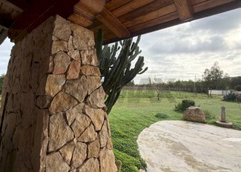 Giardino - Casa indipendente Sassari - foto 19