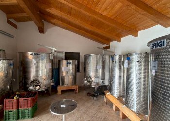 Palestra - Casa indipendente Sassari - foto 20