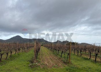 Vista delle montagne - Casa indipendente Sassari - foto 25