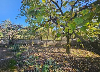Giardino - Casa indipendente Contrada Ferrara
 
1, Vairano Patenora - foto 19