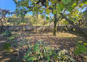 Giardino - Casa indipendente Contrada Ferrara
 
1, Vairano Patenora - foto 22