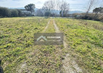 Foto 14 - Terreno edificabile sp8, Tortoreto - foto 14