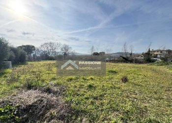 Foto 15 - Terreno edificabile sp8, Tortoreto - foto 15