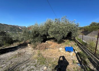 Giardino - Agricultural land sp 127
 
210, Bagheria - photo 4