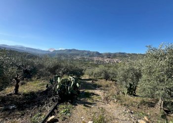 Vista delle montagne - Agricultural land sp 127
 
210, Bagheria - photo 7