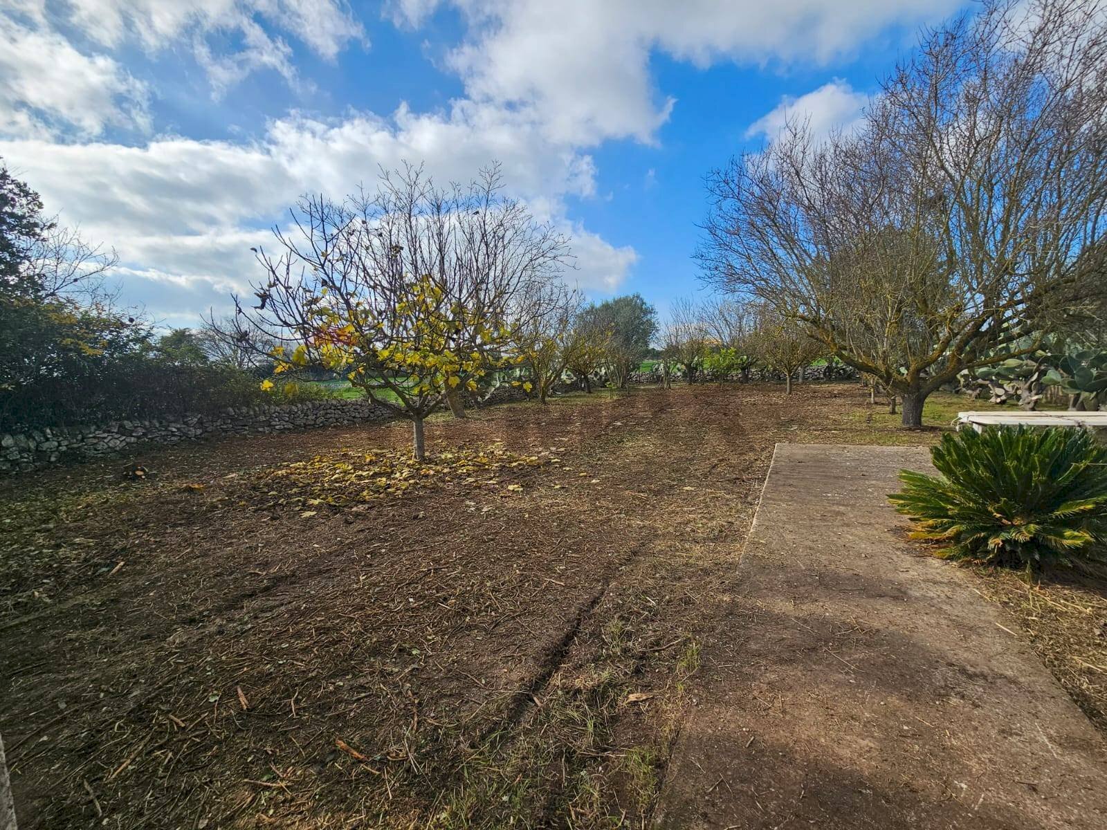 Giardino - Terreno edificabile via Giuseppe Maiolo, Ragusa - foto 3