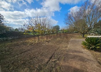 Giardino - Terreno edificabile via Giuseppe Maiolo, Ragusa - foto 3