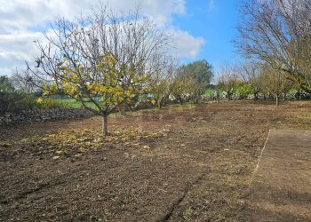 Giardino - Terreno edificabile via Giuseppe Maiolo, Ragusa - foto 6