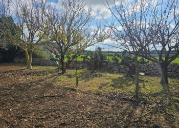 Giardino - Terreno edificabile via Giuseppe Maiolo, Ragusa - foto 12