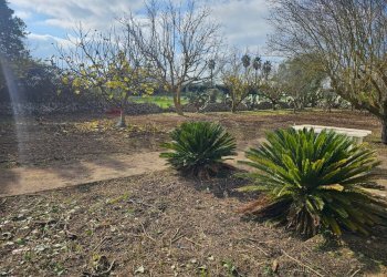 Giardino - Terreno edificabile via Giuseppe Maiolo, Ragusa - foto 17