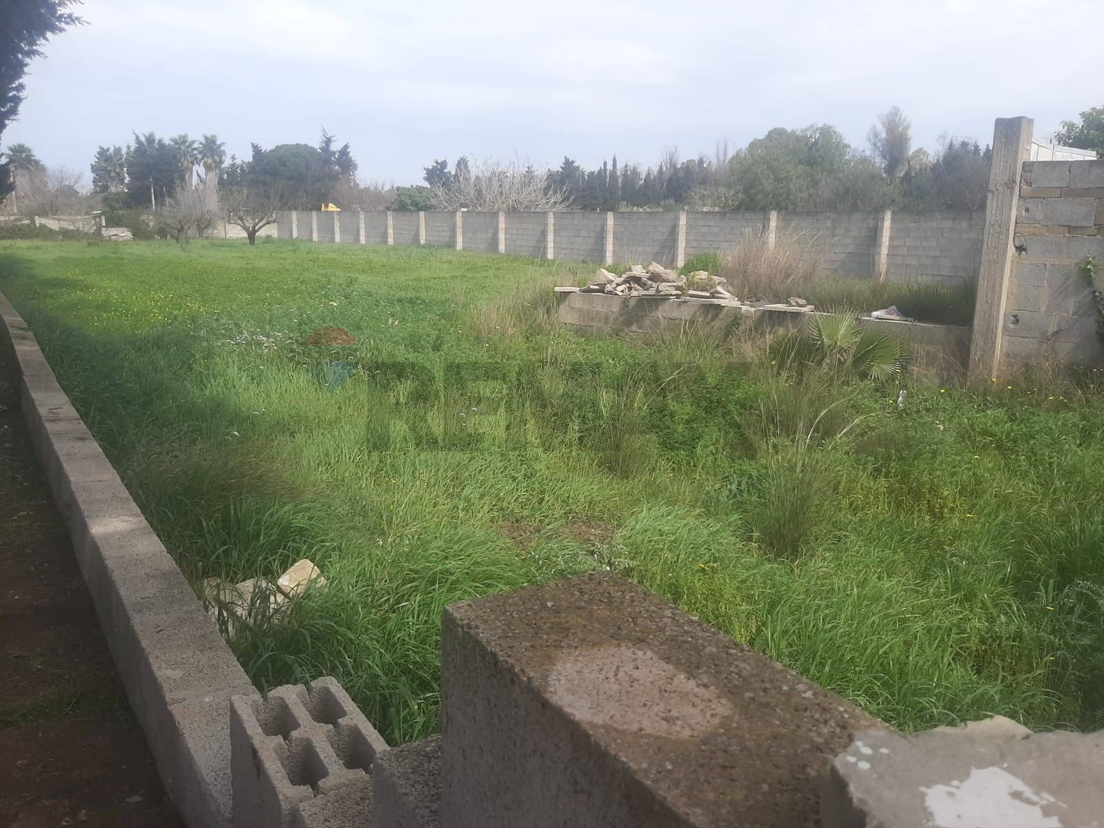 Giardino - Terreno edificabile Gallipoli - foto 1