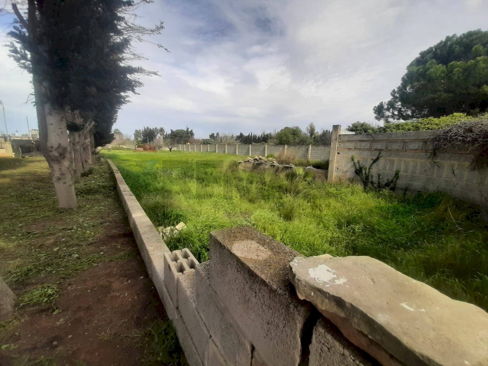 Giardino - Terreno edificabile Gallipoli - foto 2