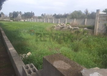 Giardino - Terreno edificabile Gallipoli - foto 1