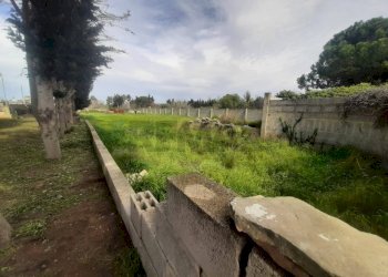 Giardino - Terreno edificabile Gallipoli - foto 2