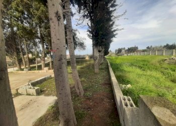 Giardino - Terreno edificabile Gallipoli - foto 4