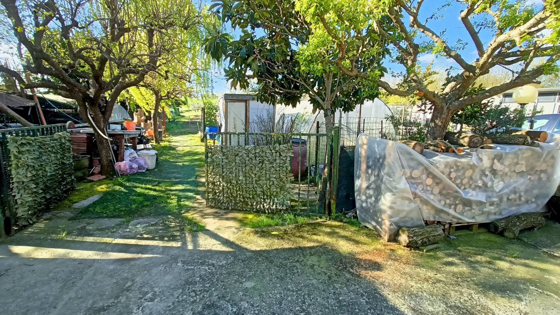 Foto 1 - Agriturismo via del pesco, Santa Maria a Monte - foto 1