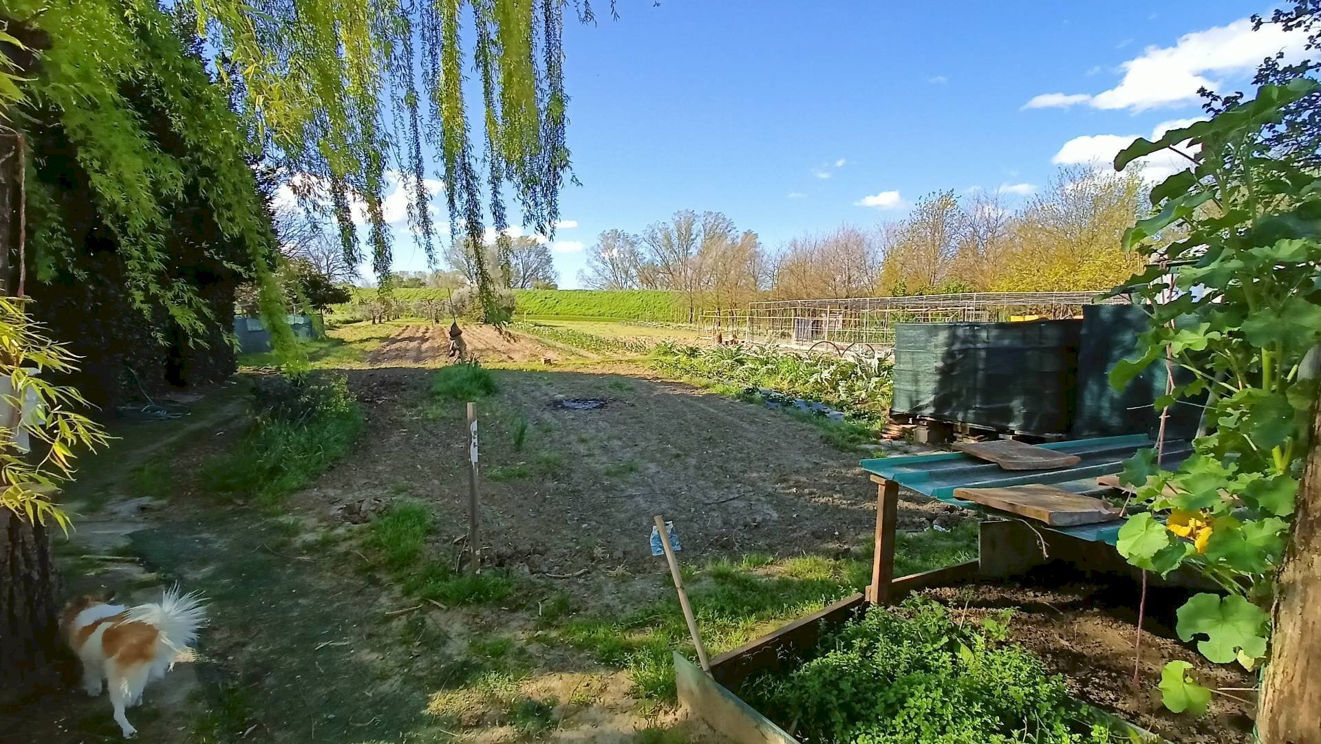 Foto 2 - Agriturismo via del pesco, Santa Maria a Monte - foto 2